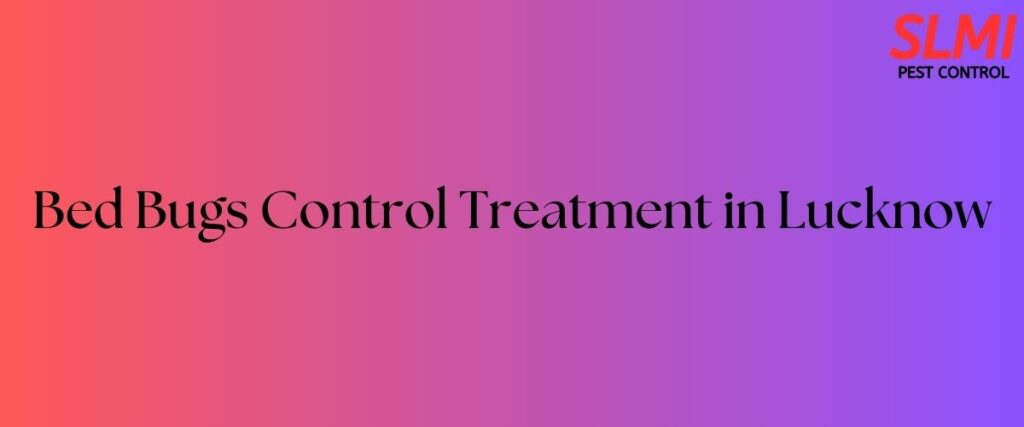 bed-bugs-control-treatment-in-Lucknow