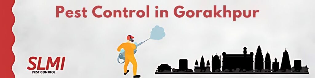 Pest-Control-in-Gorakhpur