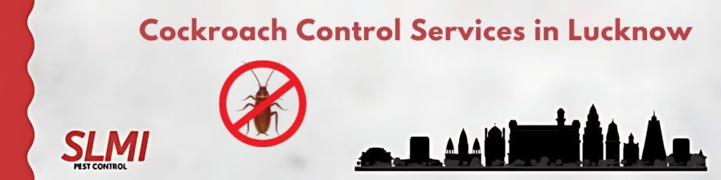 cockroach-control-services-in-lucknow