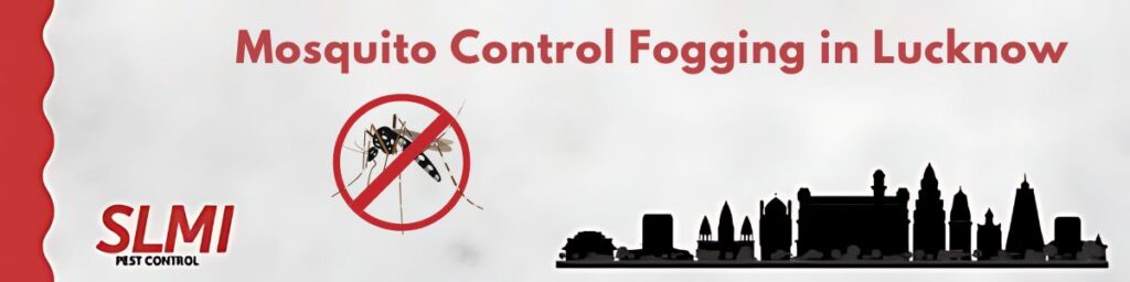 mosquito-control-fogging-in-lucknow