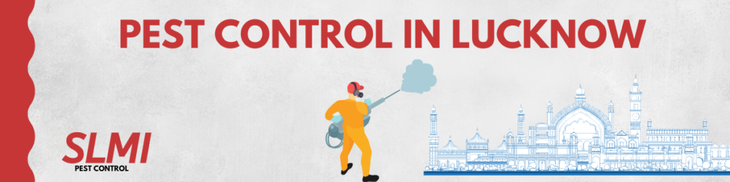 Pest-control-in-Lucknow